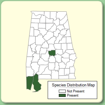 Species Distribution Map