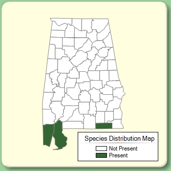 Species Distribution Map