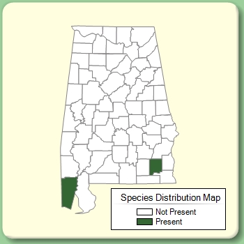 Species Distribution Map