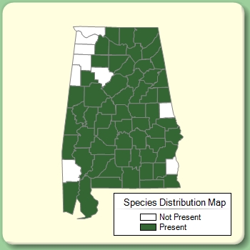 Species Distribution Map