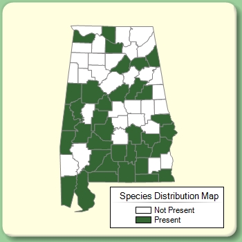 Species Distribution Map