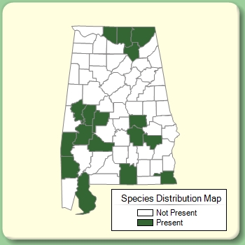 Species Distribution Map