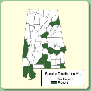 Species Distribution Map