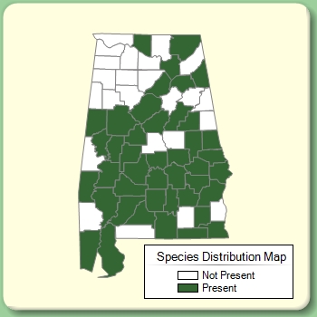 Species Distribution Map