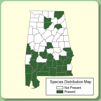 Species Distribution Map