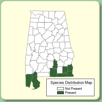 Species Distribution Map