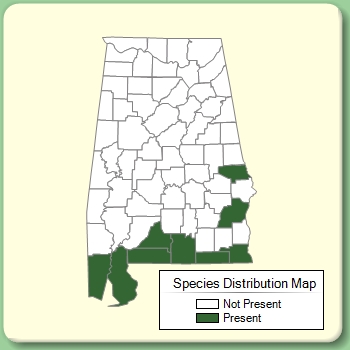 Species Distribution Map