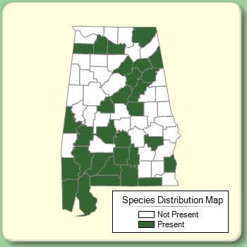 Species Distribution Map