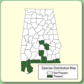 Species Distribution Map