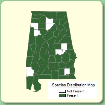 Species Distribution Map