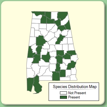 Species Distribution Map