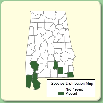 Species Distribution Map