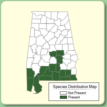 Species Distribution Map