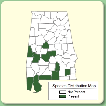 Species Distribution Map