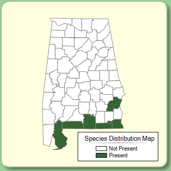 Species Distribution Map