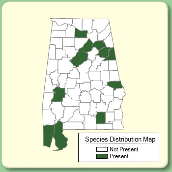 Species Distribution Map