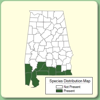 Species Distribution Map