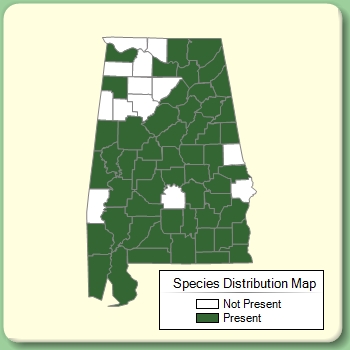 Species Distribution Map