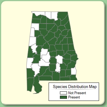 Species Distribution Map