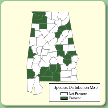 Species Distribution Map