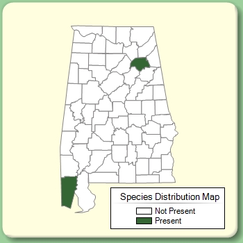 Species Distribution Map