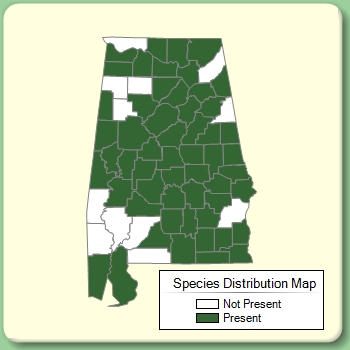 Species Distribution Map