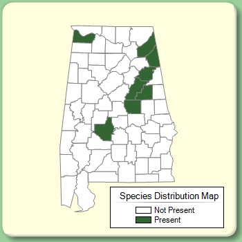 Species Distribution Map