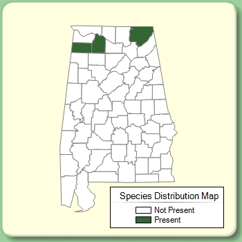 Species Distribution Map