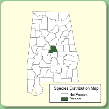 Species Distribution Map