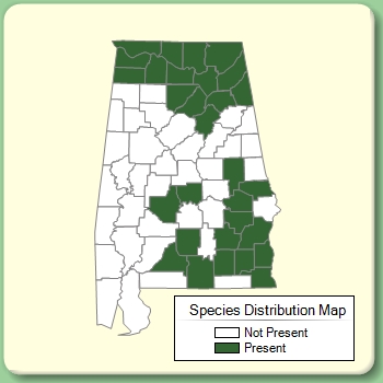 Species Distribution Map