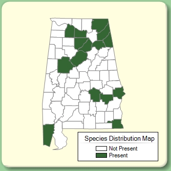 Species Distribution Map