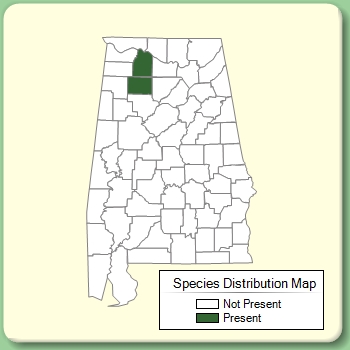 Species Distribution Map