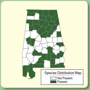 Species Distribution Map