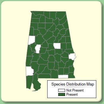 Species Distribution Map