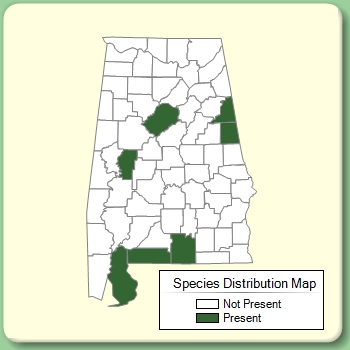 Species Distribution Map