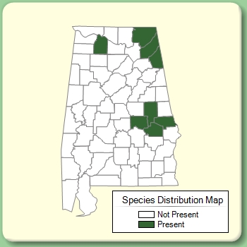 Species Distribution Map