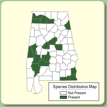 Species Distribution Map