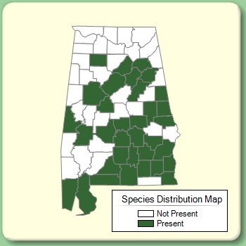 Species Distribution Map