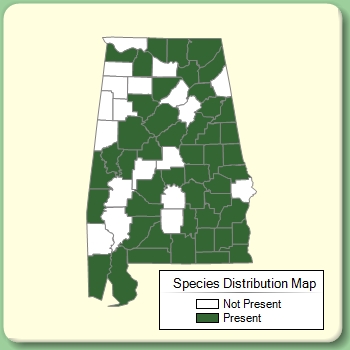 Species Distribution Map