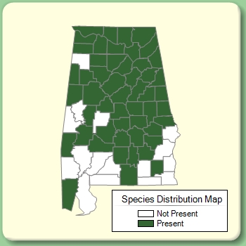 Species Distribution Map