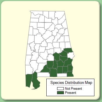 Species Distribution Map