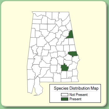 Species Distribution Map