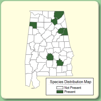 Species Distribution Map