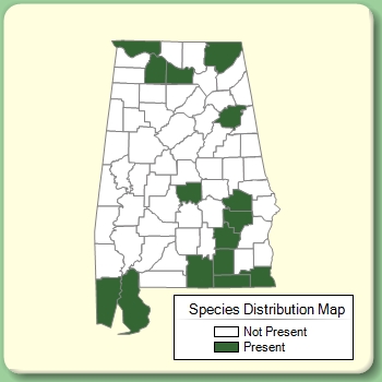 Species Distribution Map