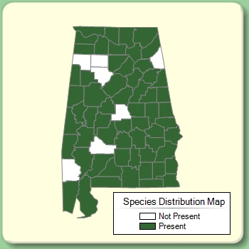 Species Distribution Map