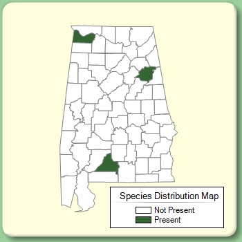 Species Distribution Map