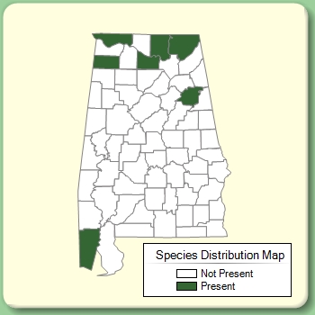 Species Distribution Map