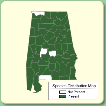 Species Distribution Map