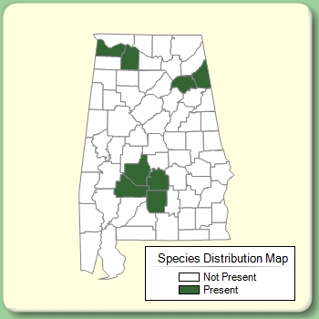 Species Distribution Map