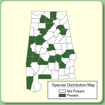 Species Distribution Map